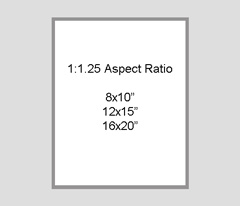 An aspect ratio of 1:1.25 is equivalent to picture sizes of 8x10 and 16x20