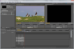 Adobe Premiere Pro video editing software