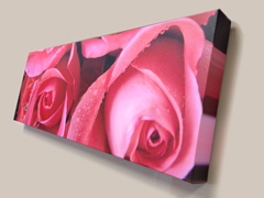 Canvas print reproductions of photographs or original paintings