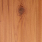 Close up of cedar wood grain
