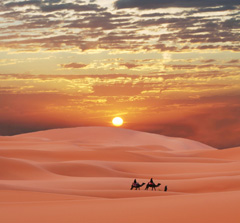 A lovely foreign image of the desert at sunset, with a camel silhouette