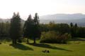 Burnaby Mountain Park, Canada Stock Photos