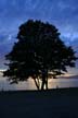 Sunset, Canada Stock Photos