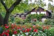 Flowers, The Stanley Park Pavilion