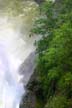 Capilano River, Canada Stock Photos