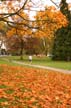 Parks, Downtown