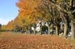 English Bay, Canada Stock Photographs