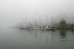 Coal Harbour Foggy Day, Canada Stock Photos