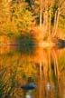 Lost Lagoon, Canada Stock Photographs