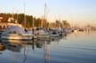 Sailing Boats, Burrard Inlet