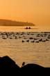 English Bay Sunset, Canada Stock Photographs