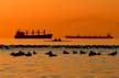 English Bay Sunset, Canada Stock Photographs