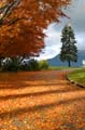 North Vancouver, Canada Stock Photographs