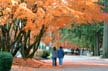 Fall Pictures, Canada Stock Photographs