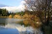 Lost Lagoon Fall Colors, Canada Stock Photographs