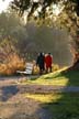 Lost Lagoon Fall, Canada Stock Photographs