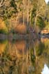 Fall, Lost Lagoon