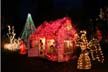 Bright Nights In Stanley Park, Canada Stock Photographs