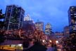 Downtown At Night, Canada Stock Photographs