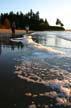 Downtown Beaches, Canada Stock Photos