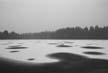 Winter Frozen Lost Lagoon Lake, Canada Stock Photographs