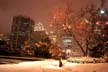 Robsob Square Downtown Night, Canada Stock Photographs