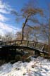 Winter Scenes, Stanley Park
