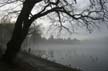 Lost Lagoon- Stanley Park Winter, Canada Stock Photographs