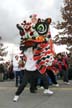 Chinese New Year, Chinatown Vancouver