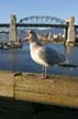 Burrard Bridge False Creek, Canada Stock Photographs