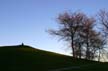 Meditation Ot Top Of Hill, Granvills Island Park