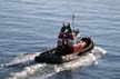 Tug Boat In Lonsdale Quay, North Vancouver