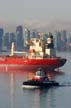 Lonsdale Quay Tugs, North Vancouver