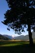 Lions Mount, Canada Stock Photographs