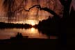 Lost Sunset At Lost Lagoon, Canada Stock Photos