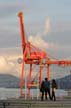 Cranes, Canada Stock Photos