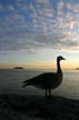 Whytecliff Park, West Vancouver