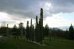 Playground Of The Gods Sculptures, Burnaby Mountain Park