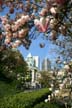 Vancouver Flowers, Robson Square