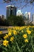 Vancouver Flowers, Robson Square