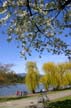 Lost Lagoon Spring, Stanley Park