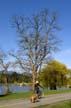 Lost Lagoon Spring, Stanley Park