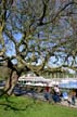 Seawall, Stanley Park