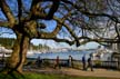 Seawall, Stanley Park