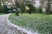 Vancouver Pictures, Rose Garden Stanley Park