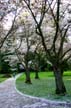 Springtime, Stanley Park