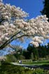 Springtime, Stanley Park