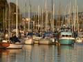 Sailing Boats, Coal Harbour