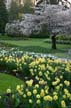 Rose Garden, Stanley Park