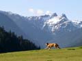 Lions Mount, North Vancouver